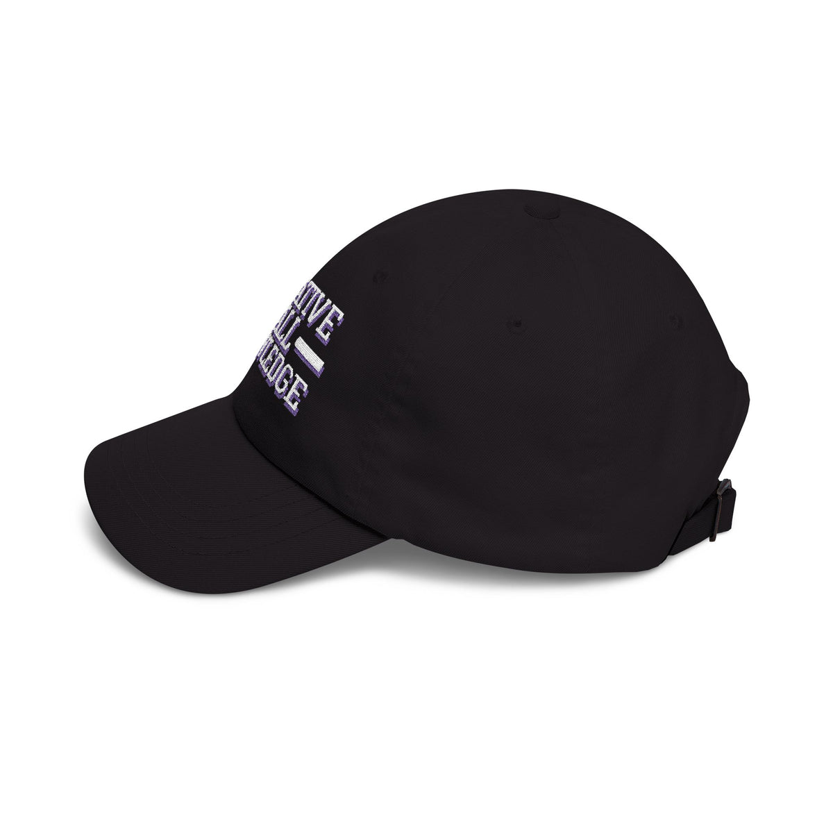 Negative Ball Knowledge ball knowledge meme dad hat with "Negative Ball Knowledge" graphic, product photo 12