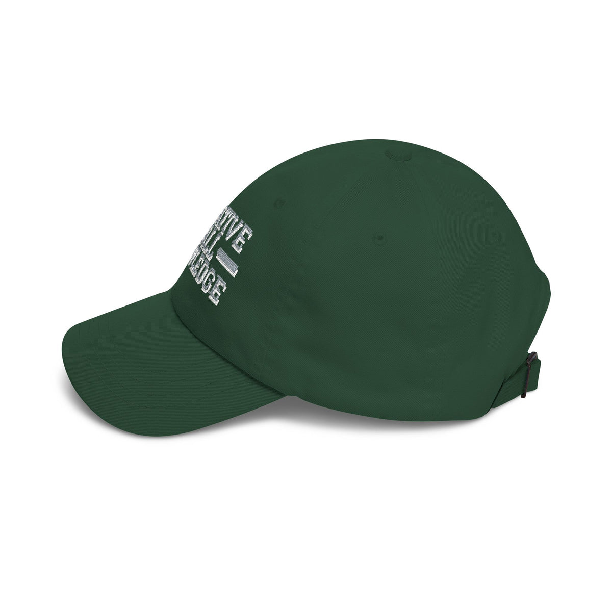 Negative Ball Knowledge ball knowledge meme dad hat with "Negative Ball Knowledge" graphic, product photo 6