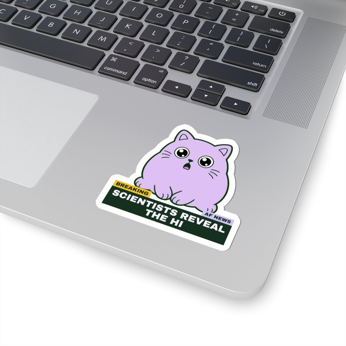 Scientists Reveal the Hi scientists reveal the hi meme sticker with "Scientists Reveal the Hi" graphic, product photo 3