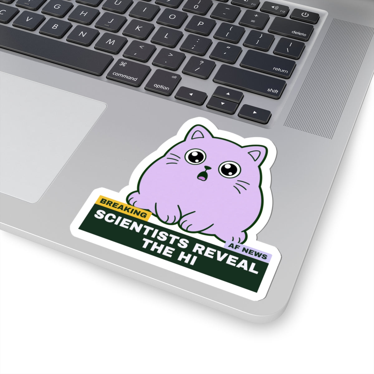 Scientists Reveal the Hi scientists reveal the hi meme sticker with "Scientists Reveal the Hi" graphic, product photo 5